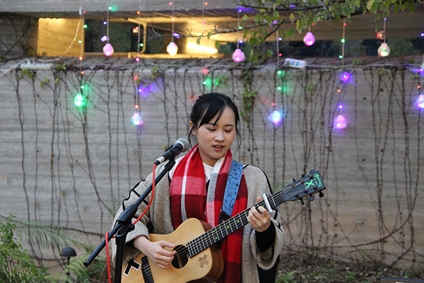 太陽能路燈，太陽能路燈廠家，太陽能路燈價(jià)格