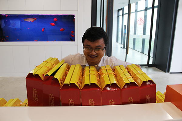 太陽能路燈，太陽能路燈廠家，太陽能路燈價格